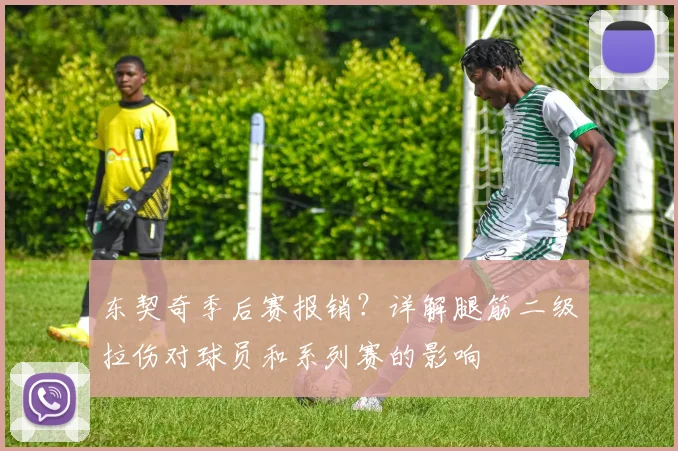东契奇季后赛报销？详解腿筋二级拉伤对球员和系列赛的影响