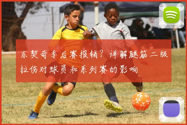 东契奇季后赛报销？详解腿筋二级拉伤对球员和系列赛的影响